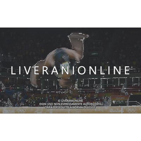 XXXI Olympic Games Giochi Olimpici Rio 2016 Rio de Janeiro - 07.08.2016 Ginnastica Artistica Qualifiche Donne Nella Foto:Meneghini Elisa /Ph.Vitez-Ag. Aldo Liverani