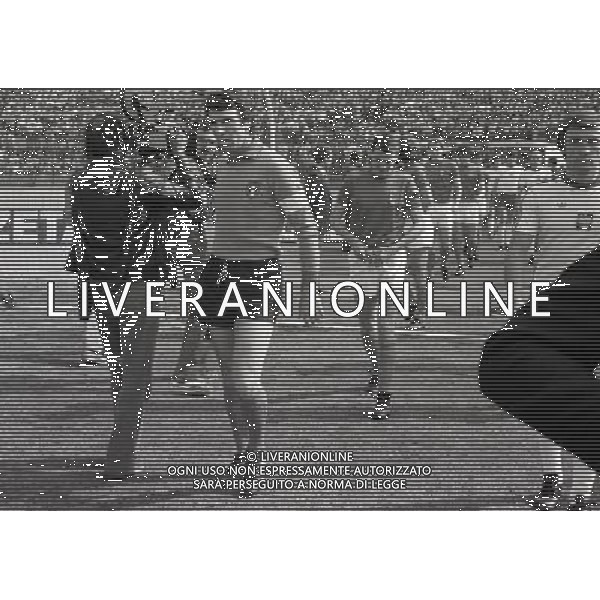 TORINO 19/04/1980 ITALIA POLONIA NELLA FOTO DINO ZOFF AG ALDO LIVERANI SAS