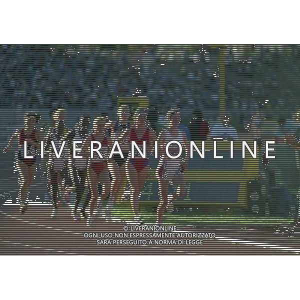 MILANO ARENA CIVICA IAAF GRAND PRIX 1996 NELLA FOTO ROBERTA BRUNET NUM 31 AG ALDO LIVERANI SAS