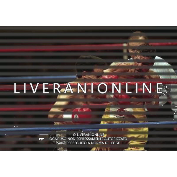 MILANO 20/06/1996 INCONTRO DI BOXE GIOVANNI PARISI GONZALES NELLA FOTO L\'INCONTRO DI PUGILATO TRA GIOVANNI PARISI E GONZALES AG ALDO LIVERANI SAS