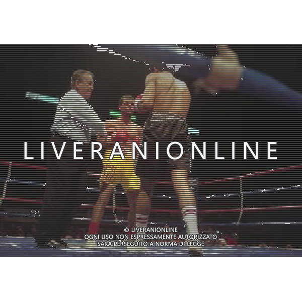 MILANO 20/06/1996 INCONTRO DI BOXE GIOVANNI PARISI GONZALES NELLA FOTO L\'INCONTRO DI PUGILATO TRA GIOVANNI PARISI E GONZALES AG ALDO LIVERANI SAS