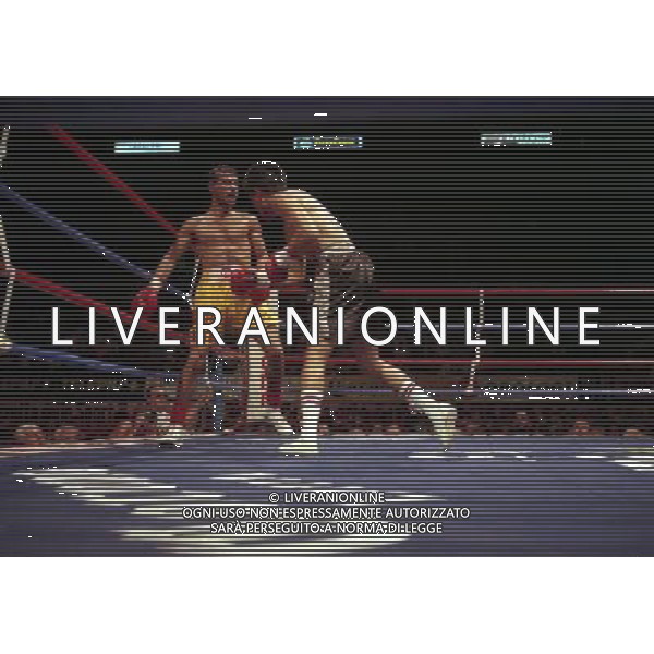 MILANO 20/06/1996 INCONTRO DI BOXE GIOVANNI PARISI GONZALES NELLA FOTO L\'INCONTRO DI PUGILATO TRA GIOVANNI PARISI E GONZALES AG ALDO LIVERANI SAS
