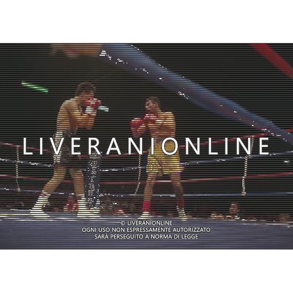 MILANO 20/06/1996 INCONTRO DI BOXE GIOVANNI PARISI GONZALES NELLA FOTO L\'INCONTRO DI PUGILATO TRA GIOVANNI PARISI E GONZALES AG ALDO LIVERANI SAS