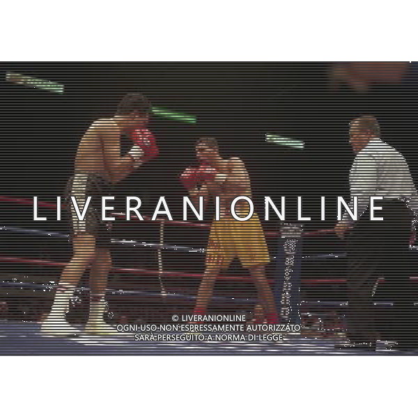 MILANO 20/06/1996 INCONTRO DI BOXE GIOVANNI PARISI GONZALES NELLA FOTO L\'INCONTRO DI PUGILATO TRA GIOVANNI PARISI E GONZALES AG ALDO LIVERANI SAS