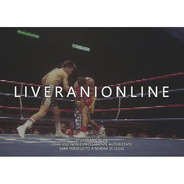 MILANO 20/06/1996 INCONTRO DI BOXE GIOVANNI PARISI GONZALES NELLA FOTO L\'INCONTRO DI PUGILATO TRA GIOVANNI PARISI E GONZALES AG ALDO LIVERANI SAS