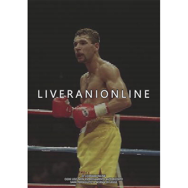 MILANO 20/06/1996 INCONTRO DI BOXE GIOVANNI PARISI GONZALES NELLA FOTO L\'INCONTRO DI PUGILATO TRA GIOVANNI PARISI E GONZALES AG ALDO LIVERANI SAS