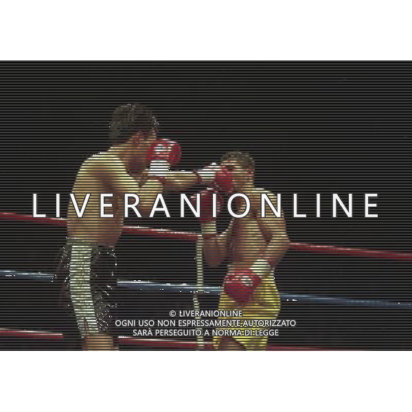 MILANO 20/06/1996 INCONTRO DI BOXE GIOVANNI PARISI GONZALES NELLA FOTO L\'INCONTRO DI PUGILATO TRA GIOVANNI PARISI E GONZALES AG ALDO LIVERANI SAS