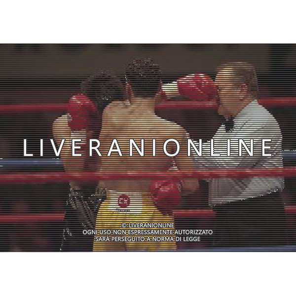 MILANO 20/06/1996 INCONTRO DI BOXE GIOVANNI PARISI GONZALES NELLA FOTO L\'INCONTRO DI PUGILATO TRA GIOVANNI PARISI E GONZALES AG ALDO LIVERANI SAS