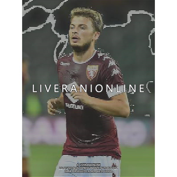 Torino 13-08-2016 Stadio Olimpico Grande Torino Coppa Italia TIM Cup - 3Â° turno Torino vs Pro Vercelli nella foto Adem Ljajic (Torino) foto Roberto Garavaglia - ag. Aldo Liverani sas