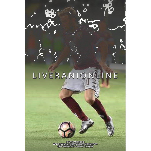 Torino 13-08-2016 Stadio Olimpico Grande Torino Coppa Italia TIM Cup - 3Â° turno Torino vs Pro Vercelli nella foto Adem Ljajic (Torino) foto Roberto Garavaglia - ag. Aldo Liverani sas