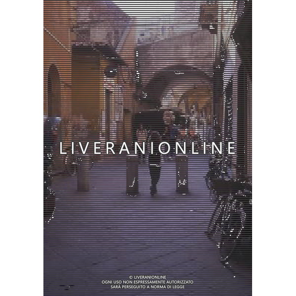 ITALIA -PISA NELLA FOTO LE MURA AG ALDO LIVERANI SAS