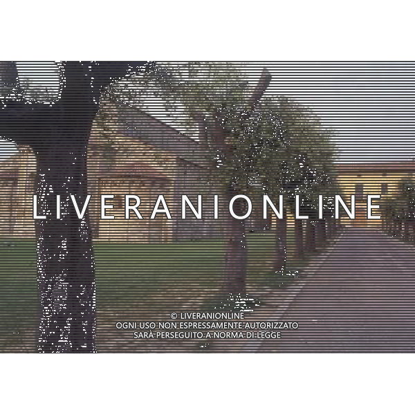 ITALIA -PISA NELLA FOTO SAN PIETRO GRADO AG ALDO LIVERANI SAS