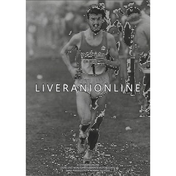 RETROSPETTIVA GELINDO BORDIN ATLETA NELLA FOTO GELINDO BORDIN AG ALDO LIVERANI SAS