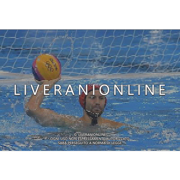 XXXI Olympic Games Giochi Olimpici Rio 2016 Rio de Janeiro - 18.08.2016 Semifinale Pallanuoto Maschile Italia vs Serbia Nella Foto:Mitrovic Branislav /Ph.Vitez-Ag. Aldo Liverani