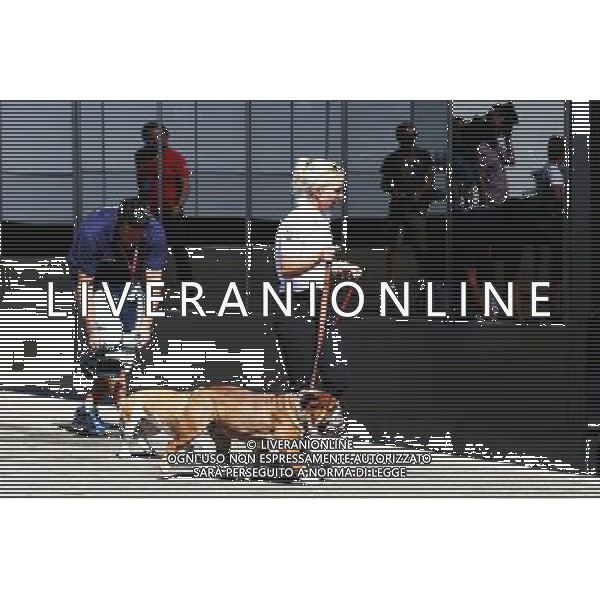 Roscoe and Coco - dogs owned by Lewis Hamilton (GBR) Mercedes AMG F1. 25.08.2016. Formula 1 World Championship, Rd 13, Belgian Grand Prix, Spa Francorchamps, Belgium, Preparation Day. / AGENZIA ALDO LIVERANI SAS - ITALY ONLY EDITORIAL USE ONLY