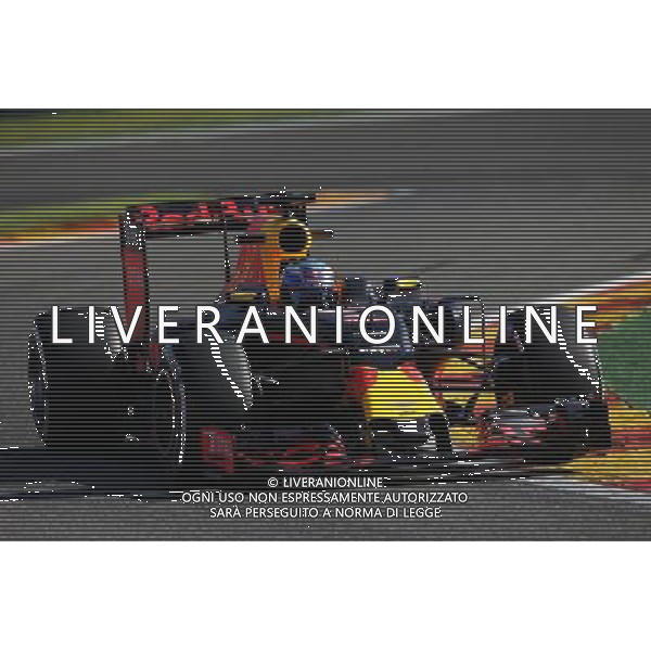 Daniel Ricciardo (AUS) Red Bull Racing RB12. 26.08.2016. Formula 1 World Championship, Rd 13, Belgian Grand Prix, Spa Francorchamps, Belgium, Practice Day. / AGENZIA ALDO LIVERANI SAS - ITALY ONLY EDITORIAL USE ONLY