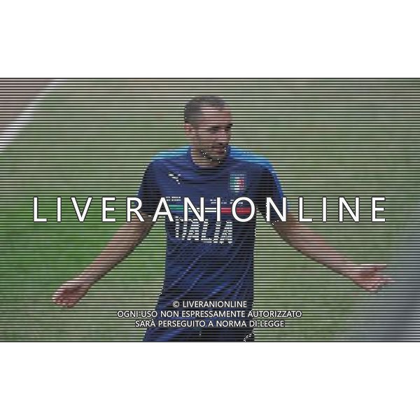 Foto Aldo Liverani 30/08/2016 Firenze ( Italia) Nazionale Italiana calcio Raduno della Nazionale italiana di calcio, Centro Tecnico Federale di Coverciano Nella foto: Giorgio Chiellini 