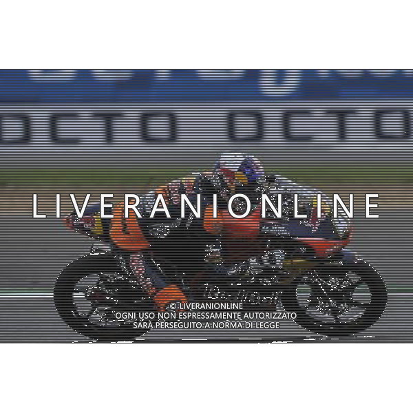 02/09/2016. Silverstone, Towcester, Gran Bretagna. Brad Binder durante le prove libere del venerd“ AG ALDO LIVERANI SAS