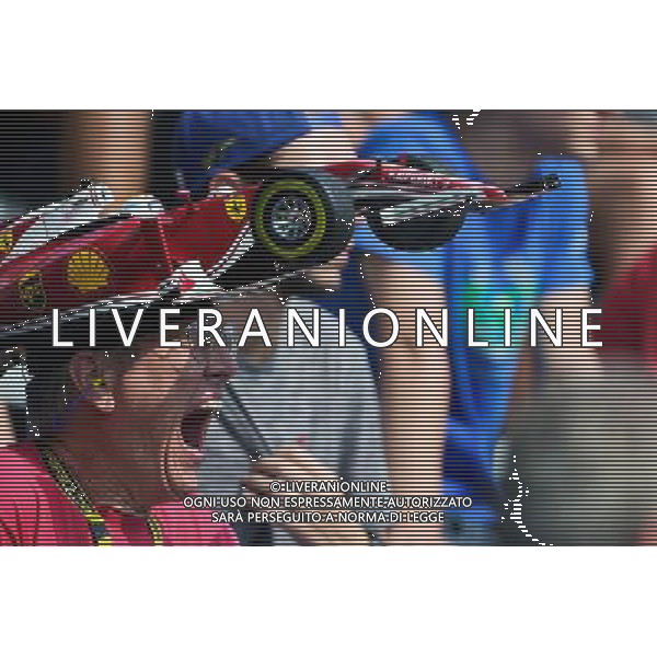 Ferrari fan. 02.09.2016. Formula 1 World Championship, Rd 14, Italian Grand Prix, Monza, Italy, Practice Day. / AGENZIA ALDO LIVERANI SAS - ITALY ONLY EDITORIAL USE ONLY