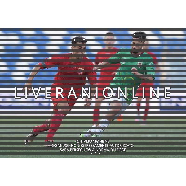 Campionato di Calcio Lega Pro Girone B 2016/2017 2 Giornata Reggio Emilia - 03.09.2016 Reggiana-Ancona Nella Foto:de silvestro elio - maltese dario /Ph.Vitez-Ag. Aldo Liverani