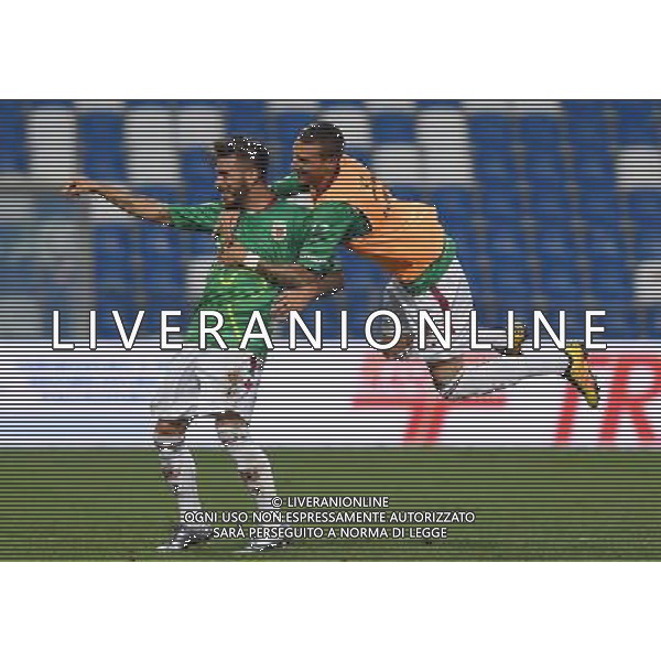 Campionato di Calcio Lega Pro Girone B 2016/2017 2 Giornata Reggio Emilia - 03.09.2016 Reggiana-Ancona Nella Foto:angiulli federico esulta /Ph.Vitez-Ag. Aldo Liverani