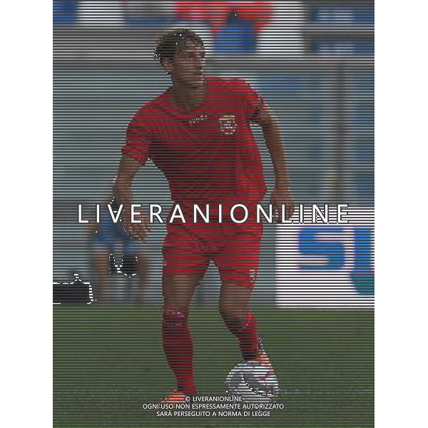 Campionato di Calcio Lega Pro Girone B 2016/2017 2 Giornata Reggio Emilia - 03.09.2016 Reggiana-Ancona Nella Foto:Daffara Manuel /Ph.Vitez-Ag. Aldo Liverani