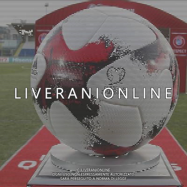 SAN MARINO vs AZERBAIJAN Qualificazioni Euopee FIFA 2018 nella foto: un pallone delle qualificazioni ©CLAUDIO ZAMAGNI/AGENZIA ALDO LIVERANI S.A.S.