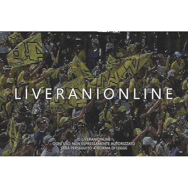 11.09.2016. Misano World Circuit, Misano. VR 46 tifosi Â© PIAZZOLLA / AGENZIA ALDO LIVERANI SAS