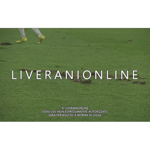 UEFA Champions League 2016/2017 Finale Fase a Girone Gruppo H Torino - 14.09.2016 Juventus-Siviglia Nella Foto:le condizioni del terreno dello juventus stadium /Ph.Vitez-Ag. Aldo Liverani