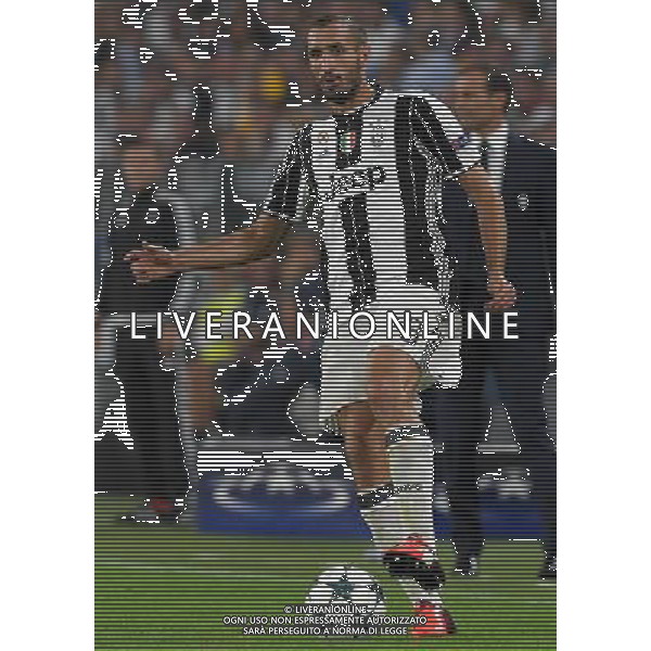 UEFA Champions League 2016/2017 Finale Fase a Girone Gruppo H Torino - 14.09.2016 Juventus-Siviglia Nella Foto:Chiellini Giorgio /Ph.Vitez-Ag. Aldo Liverani