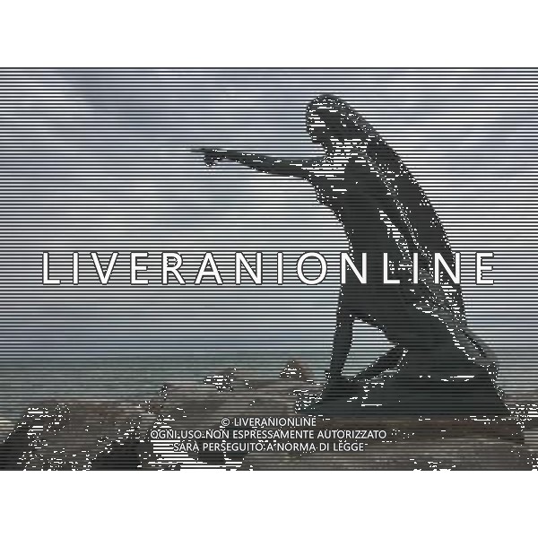 2016 RIMINI LA DARSENA AL PORTO AG ALDO LIVERANI SAS