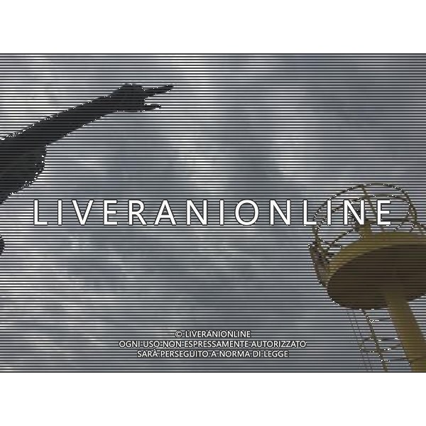 2016 RIMINI LA DARSENA AL PORTO AG ALDO LIVERANI SAS