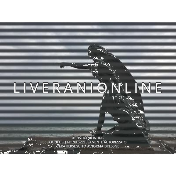 2016 RIMINI LA DARSENA AL PORTO AG ALDO LIVERANI SAS