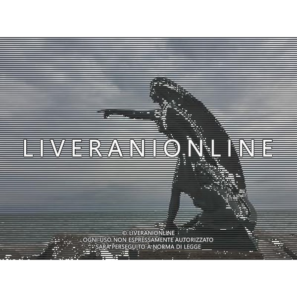 2016 RIMINI LA DARSENA AL PORTO AG ALDO LIVERANI SAS