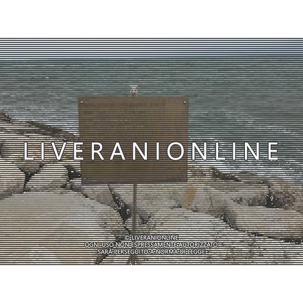 2016 RIMINI LA DARSENA AL PORTO AG ALDO LIVERANI SAS