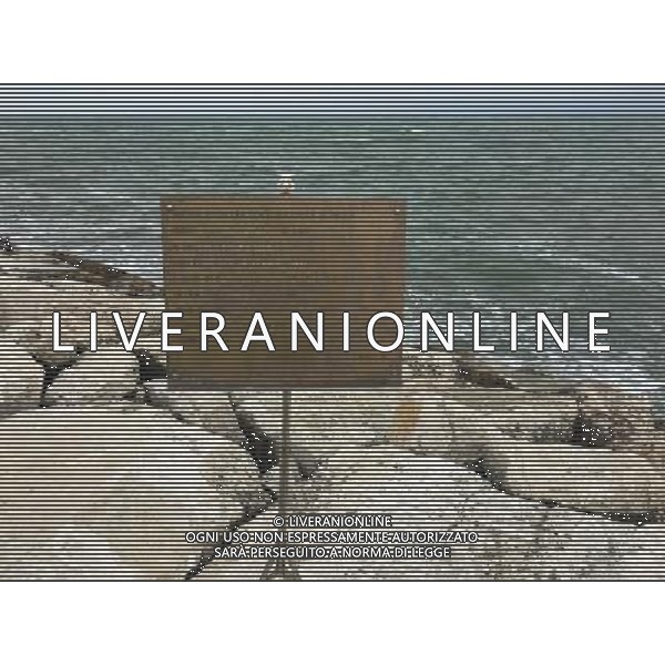 2016 RIMINI LA DARSENA AL PORTO AG ALDO LIVERANI SAS