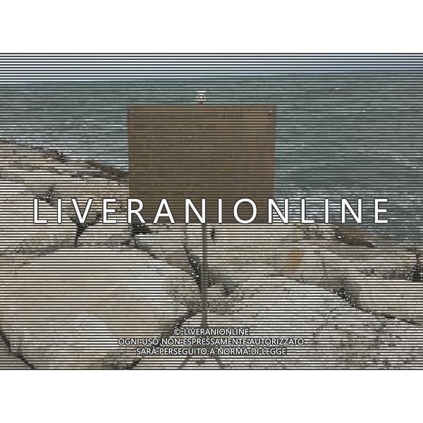 2016 RIMINI LA DARSENA AL PORTO AG ALDO LIVERANI SAS