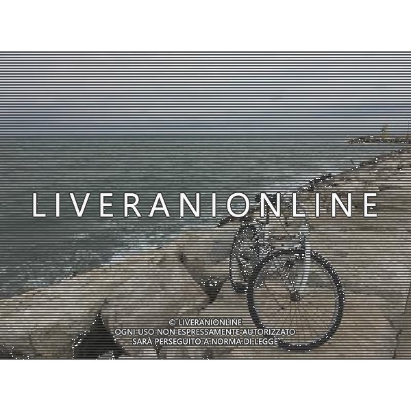 2016 RIMINI LA DARSENA AL PORTO AG ALDO LIVERANI SAS