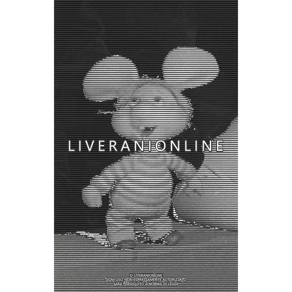 Topo Gigio, pupazzo animato, creato per la televisione nel 1959 da Maria Perego - Retrospettiva nella foto in \'Canzonissima\' del 1974 ©Archivio / AGENZIA ALDO LIVERANI SAS 