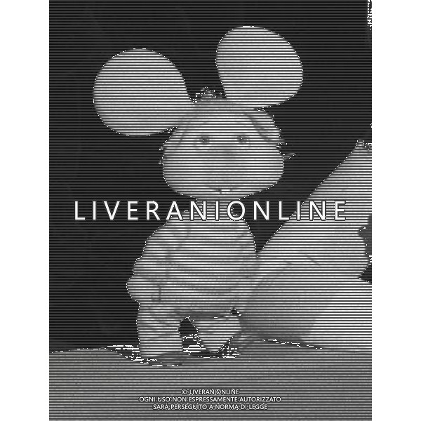 Topo Gigio, pupazzo animato, creato per la televisione nel 1959 da Maria Perego - Retrospettiva nella foto in \'Canzonissima\' del 1974 ©Archivio / AGENZIA ALDO LIVERANI SAS 