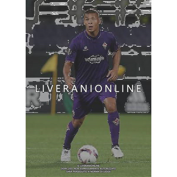 UEFA Europa League 2016/2017 Fase a Gironi Gruppo J Firenze - 29.09.2016 Fiorentina-Qarabag Nella Foto:De Maio Sebastian /Ph.Vitez-Ag. Aldo Liverani