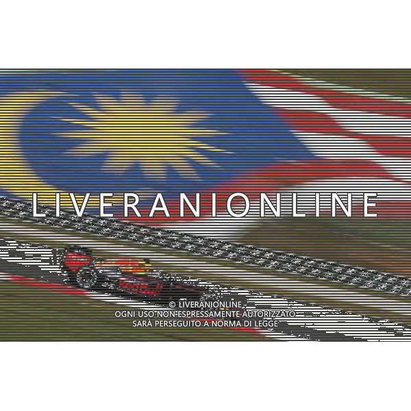 Daniel Ricciardo (AUS) Red Bull Racing RB12. 30.09.2016. Formula 1 World Championship, Rd 16, Malaysian Grand Prix, Sepang, Malaysia, Friday. / AGENZIA ALDO LIVERANI SAS - ITALY ONLY EDITORIAL USE ONLY
