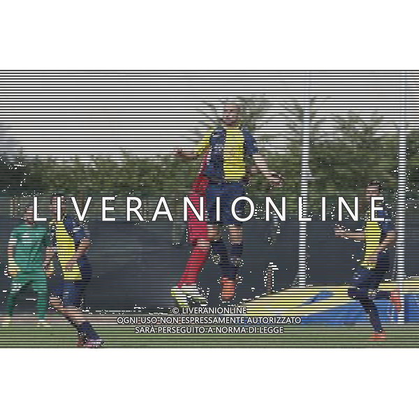SANTARCANGELO ANCONA Campionato Lega Pro 7Âª giornata Girone B 01/10/2016 nella foto: DALLA BONA DANIELE Â©CLAUDIO ZAMAGNI/AGENZIA ALDO LIVERANI S.A.S.
