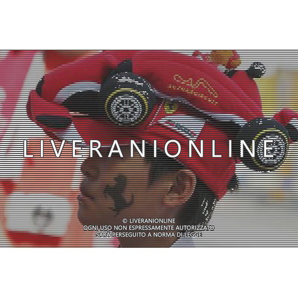 A young fan. 06.10.2016. Formula 1 World Championship, Rd 17, Japanese Grand Prix, Suzuka, Japan, Preparation Day. AG ALDO LIVERANI SAS ONLY ITALY