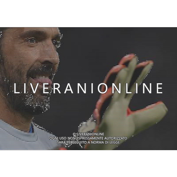 Qualificazioni al Campionato Mondiale FIFA Russia 2018 Gruppo G Torino - 06.10.2016 Italia-Spagna Nella Foto:buffon gianluigi /Ph.Vitez-Ag. Aldo Liverani