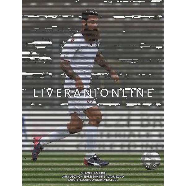 Campionato di Calcio Lega Pro Girone A 2016/2017 8a Giornata Cremona - 09.10.2016 Cremonese-Arezzo Nella Foto:Moscardelli Davide /Ph.Vitez-Ag. Aldo Liverani