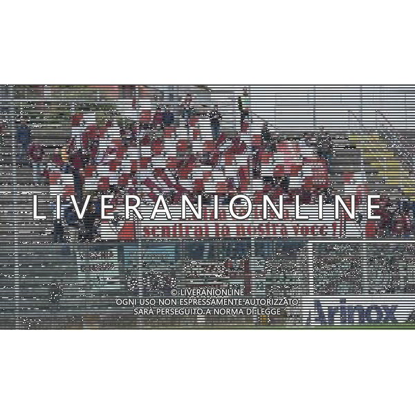 Campionato di Calcio Lega Pro Girone A 2016/2017 8a Giornata Cremona - 09.10.2016 Cremonese-Arezzo Nella Foto:Tifosi Arezzo /Ph.Vitez-Ag. Aldo Liverani