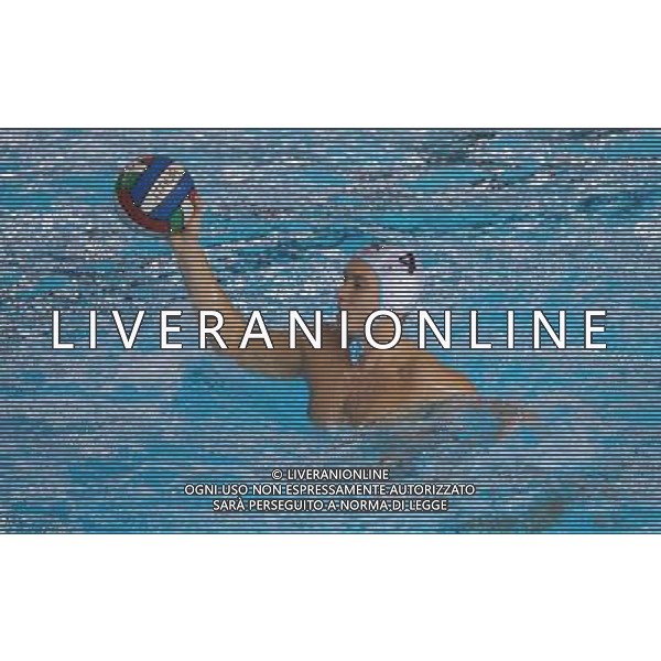 Sava Randelovic,singoli An Brescia,Brescia 8 ottobre 2016. AG ALDO LIVERANI SAS