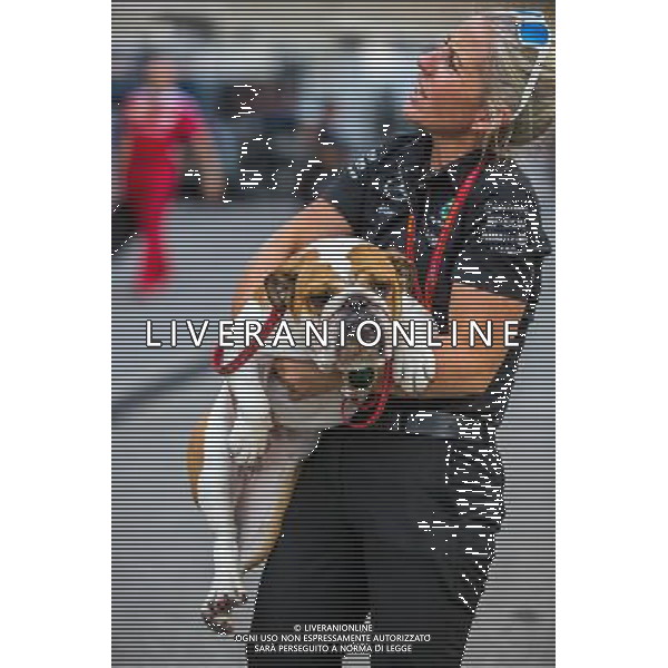 A dog owned by Lewis Hamilton (GBR) Mercedes AMG F1. 20.10.2016. Formula 1 World Championship, Rd 18, United States Grand Prix, Austin, Texas, USA, Preparation Day. AG ALDO LIVERANI SAS ONLY ITALY