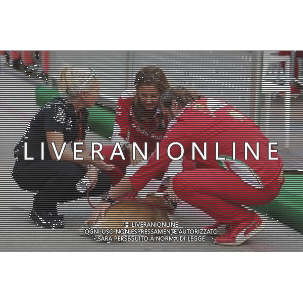One of Lewis Hamilton (GBR) Mercedes AMG F1 dogs meets Gino Rosato (CDN) Ferrari and Stefania Bocchi (ITA) Ferrari Press Officer. 20.10.2016. Formula 1 World Championship, Rd 18, United States Grand Prix, Austin, Texas, USA, Preparation Day. AG ALDO LIVERANI SAS ONLY ITALY